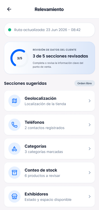 Pantalla de relevamiento con secciones sugeridas para el punto de venta